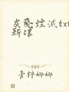 灰飞烟灭txt新浪