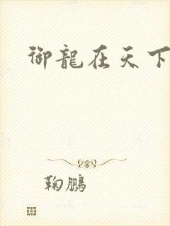 御龙在天下载
