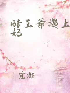 酷王爷遇上穿越妃