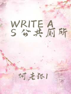 WRITE AS 公共厕所