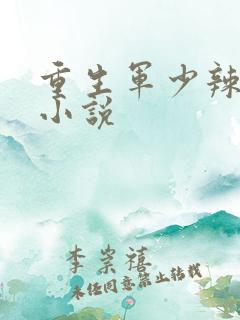 重生军少辣娇妻小说