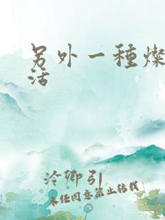 另外一种灿烂生活