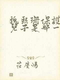 魏熙珊保护萧峥儿子是哪一集