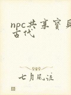 npc共享宝贝古代
