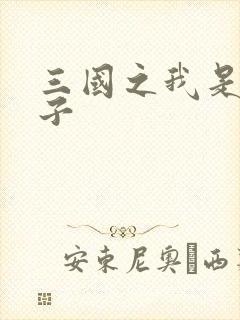 三国之我是皇太子