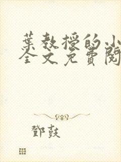 叶教授的小黏糖全文免费阅读