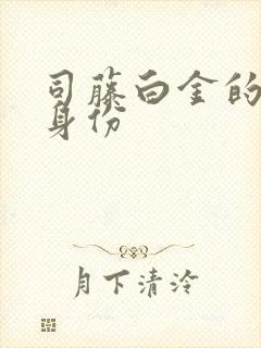 司藤白金的真实身份