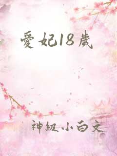 爱妃18岁