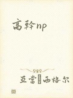 高干np