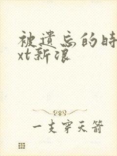 被遗忘的时光txt新浪