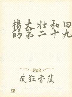 杨大壮和田桂花的第二十九