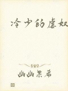 冷少的虐奴