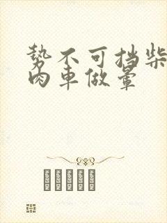 势不可挡柴鸡蛋肉车做晕