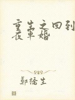 重生之回到新婚夜军婚