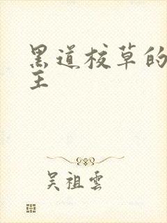 黑道校草的冷公主