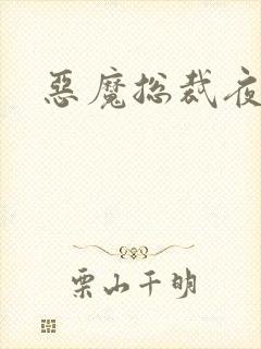 恶魔总裁夜锁爱