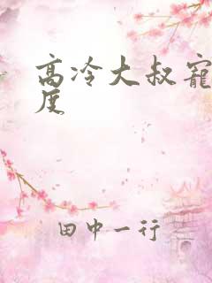 高冷大叔宠妻无度