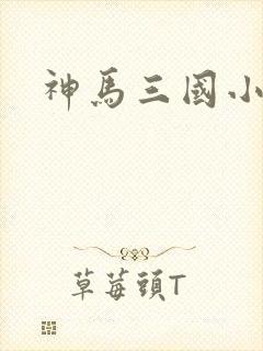 神马三国小秘