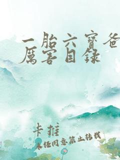 一胎六宝爸比好厉害目录