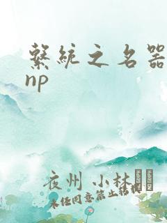 系统之名器攻略np