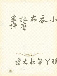 宁北布衣小说叫什么