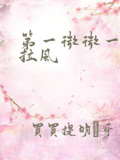 第一微微一笑很拉风