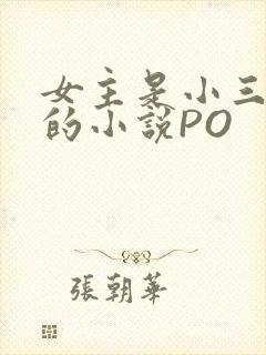 女主是小三很婊的小说PO