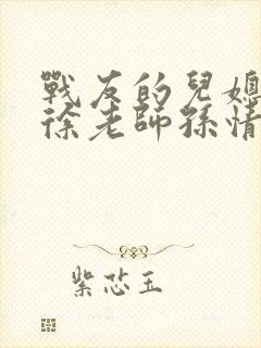 战友的儿媳老王徐老师孙情