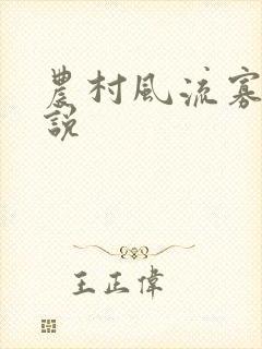 农村风流寡妇小说