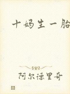 十妈生一胎