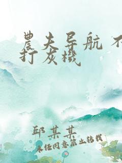 农夫导航 不准打灰机