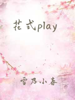 花式play