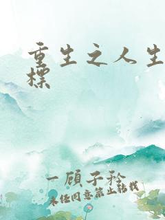 重生之人生新目标