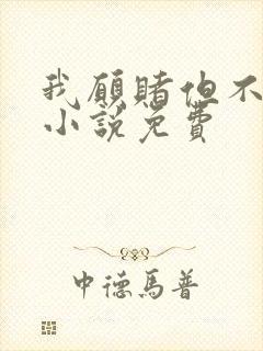 我愿赌但不服输小说免费