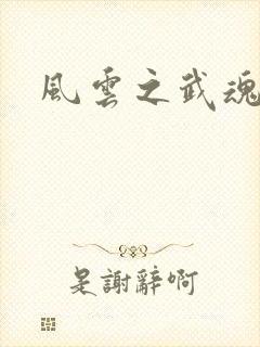风云之武魂