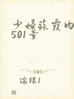 少妇苏霞肉欲第501章