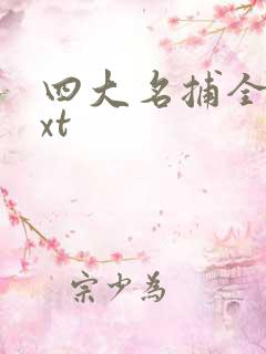 四大名捕全集txt