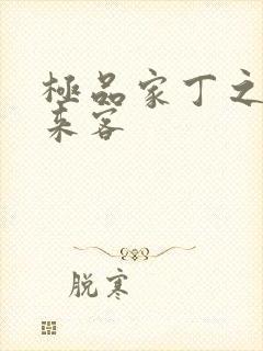 极品家丁之远方来客