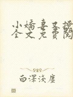 小娇妻又撩又甜全文免费阅读