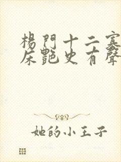 杨门十二寡妇肉床艳史有声小说