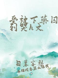 受被下药囚禁脔到哭h文