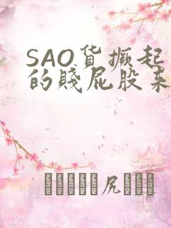 SAO货撅起你的贱屁股来
