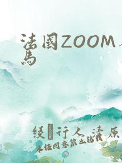 法国ZOOM人马