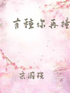 有种你再撞一下