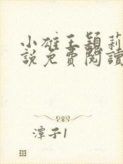 小雄王颖莉的小说免费阅读全文