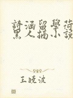 诗涵留学荷兰被黑人摘小说