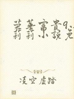 荣华富贵9小王莉莉小说免费阅读