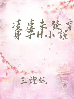 凌虐未发育的小身子H小说