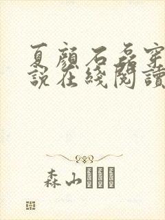 夏颜石磊穿越小说在线阅读