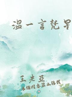 温一言梵星小说